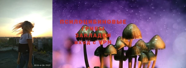 ПСИЛОЦИБИНОВЫЕ ГРИБЫ Куйбышев