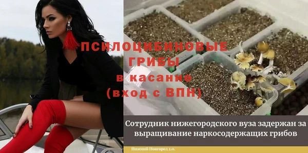 мдпв Кулебаки