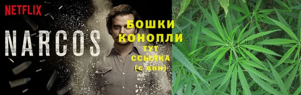 PSILOCYBIN Лабытнанги