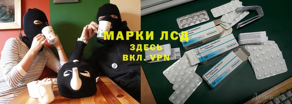 PSILOCYBIN Лабытнанги