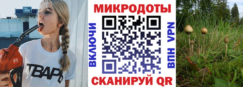 Псилоцибиновые грибы GOLDEN TEACHER Яблоновский